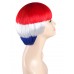 Flag-002~Holland